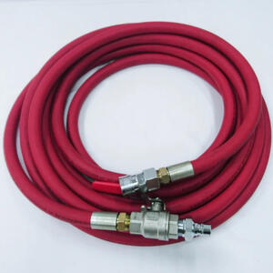 10 m Hose